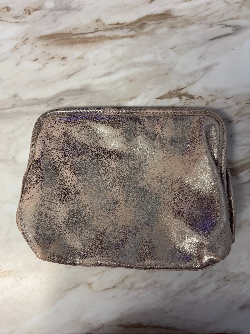Hobo Metallic Taupe Cosmetic Pouch